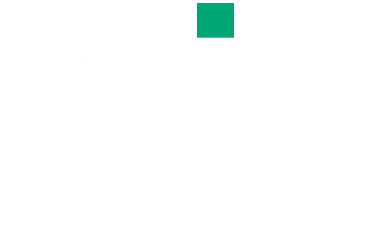 the digital ally